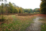 Sallandse Heuvelrug